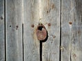 Old wooden door background with metal and old padlock Royalty Free Stock Photo