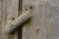 Old wooden door of a barn - door handle Royalty Free Stock Photo