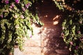 Old wooden door and bougainvillea Royalty Free Stock Photo