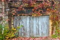 Old wooden door with a brick wall Royalty Free Stock Photo