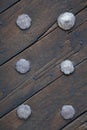 Background, texture. fragment of an old wooden door with large caps of metal bolts and nails Royalty Free Stock Photo