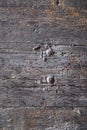 Background, texture. fragment of an old wooden door with large caps of metal bolts and nails Royalty Free Stock Photo