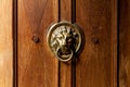 An old wooden door decorated with a lion head Royalty Free Stock Photo