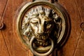 An old wooden door decorated with a lion head Royalty Free Stock Photo