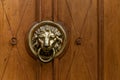 An old wooden door decorated with a lion head Royalty Free Stock Photo