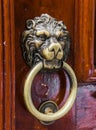 Old wooden door decorated with a lion head Royalty Free Stock Photo