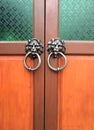 Old wooden door decorated with a lion head as a knocker Royalty Free Stock Photo