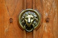 Old wooden door decorated with lion head as knocker.Brass bronze antique handle on door, Lviv, Ukraine Royalty Free Stock Photo