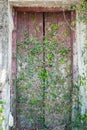 Old wooden door