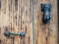 Old wooden door with a hand shaped knob Royalty Free Stock Photo
