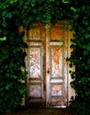 Old Wooden Door Hidden in Garden of Ivy Royalty Free Stock Photo