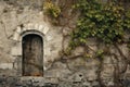 Old wooden door with ivy on the stone wall. Vintage style, Capture the medieval texture background in nature, AI Generated Royalty Free Stock Photo