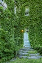 Old Wooden door with leaves Royalty Free Stock Photo