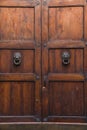 Old wooden door with lion doorknobs Royalty Free Stock Photo