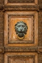 Old wooden door with lion handle