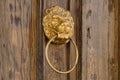 Old wooden door with a lion head as a knocker Royalty Free Stock Photo