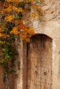 Old wooden door with orange bougainvillea in the old village Royalty Free Stock Photo