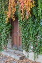 Old wooden door overgrown with ivy in fall colors Royalty Free Stock Photo