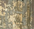 Old wooden door. Paint clambers from an old door. Tree structure. Old tree. Royalty Free Stock Photo