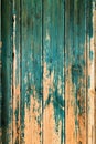 Old wooden door painted green