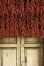Old wooden door with red pepper at the sun Royalty Free Stock Photo