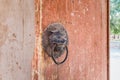 Old wooden door and lion knocker