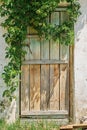 Old wooden door in a stone wall of a house or barn, ivy branches frame an opening, countryside. Interior decoration or background Royalty Free Stock Photo