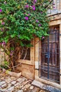 Old wooden door in a stone wall Royalty Free Stock Photo