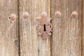 An old wooden door with three rusty iron locks Royalty Free Stock Photo