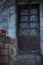 Old wooden door with windows on which there is a curtain with flowers Royalty Free Stock Photo