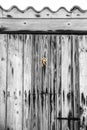 Old wooden door with wrought iron details Royalty Free Stock Photo