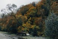 Old wooden dray on the road in Carpathian mountains after rain. Autumn rural landscape. Royalty Free Stock Photo