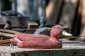 Old wooden duck decoy at an outdoor market