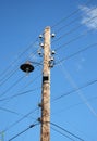 Old wooden electric post power pole. Power line. Wooden Utility Pole with light Bulb. Royalty Free Stock Photo