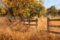 Old Wooden Farm Fence