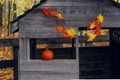 Old wooden farm house with orange pumpkin in the window and yellow red autmn leaves decoration, copyspace for text, Halloween