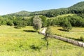 Old wooden fence along the dirt rural road Royalty Free Stock Photo