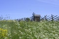 An old wooden fence around a field with meadow flowers and a windmill on Kizhi Island in Karelia