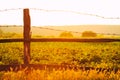 Warm glowing country sunset Royalty Free Stock Photo