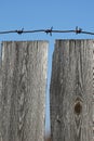 Old wooden fence with barbed wire Royalty Free Stock Photo
