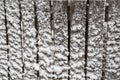 Old wooden fence board with snow