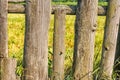 Old wooden fence closeup Royalty Free Stock Photo