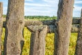 Old wooden fence closeup Royalty Free Stock Photo