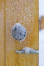 Old wooden fence. On the fence are flakes of snow. Texture and Background Royalty Free Stock Photo