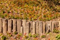 Old wooden fence