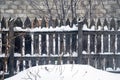 Old wooden fence of gray colour Royalty Free Stock Photo