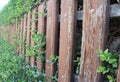 Wooden fence with leaves and plants on it Royalty Free Stock Photo