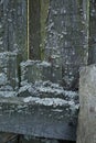 Old wooden fence with moss Royalty Free Stock Photo