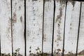Old wooden fence painted white. Royalty Free Stock Photo