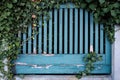 Old wooden fence with peeling blue paint and green plants growing on it. Architecture of a provincial city. Royalty Free Stock Photo